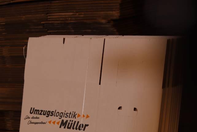 Günstiger Behördenumzug Krauschwitz