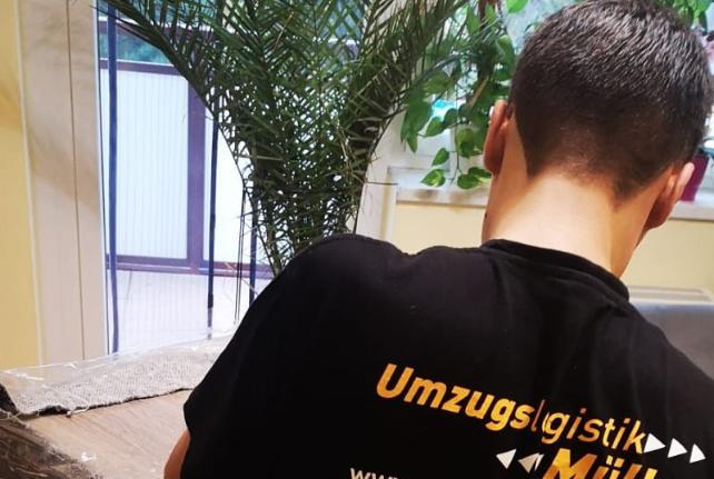 Preise für Ihren Studentenumzug in Krauschwitz